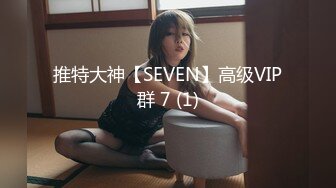 推特大神【SEVEN】高级VIP群 7 (1)