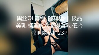 黑丝OL御姐『麻酥酥』极品美乳 揉乳玩穴 假JJ自慰 低吟浪叫附私拍23P