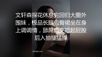 文轩森探花休息完回归大圈外围妹，极品长腿包臀裙坐在身上调调情，舔屌口交翘起屁股后入抽插猛操