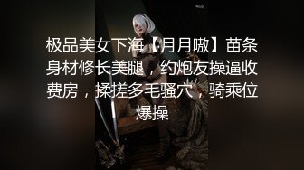 极品美女下海【月月嗷】苗条身材修长美腿，约炮友操逼收费房，揉搓多毛骚穴，骑乘位爆操