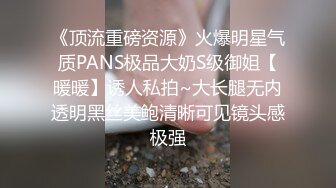 《顶流重磅资源》火爆明星气质PANS极品大奶S级御姐【暖暖】诱人私拍~大长腿无内透明黑丝美鲍清晰可见镜头感极强