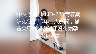 [中文字幕] HND-731青春期姊弟住了10年二人房間，瞞著父母悄悄內射卻沒有懷孕 あおいれな