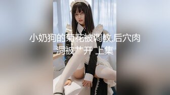 小奶狗的菊花被调教,后穴肉洞被艹开 上集