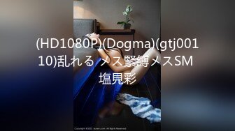 (HD1080P)(Dogma)(gtj00110)乱れる メス緊縛メスSM 塩見彩