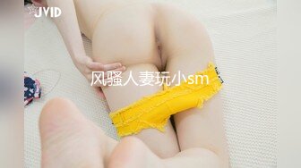 风骚人妻玩小sm