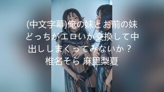 (中文字幕)俺の妹とお前の妹どっちがエロいか交換して中出ししまくってみないか？ 椎名そら 麻里梨夏