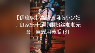 【伊玫瑰】高颜值河南小少妇，良家感十足，跟粉丝啪啪无套，自慰用黄瓜 (3)