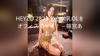 HEYZO 2823 色白美乳OLをオフィスでヤる！ – 篠宮あおい