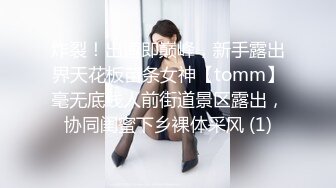 炸裂！出道即巅峰，新手露出界天花板苗条女神【tomm】毫无底线人前街道景区露出，协同闺蜜下乡裸体采风 (1)