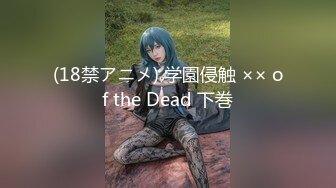 (18禁アニメ) 学園侵触 ×× of the Dead 下巻