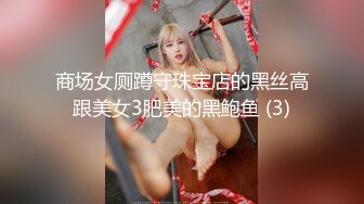 商场女厕蹲守珠宝店的黑丝高跟美女3肥美的黑鲍鱼 (3)